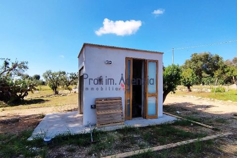 Landejendom i Carovigno, Brindisi, Carovigno - € 98.000 | Ref: 122569 - foto 4